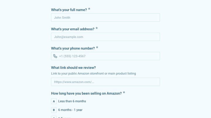 Amazon FBA Consulting Client Intake Form preview