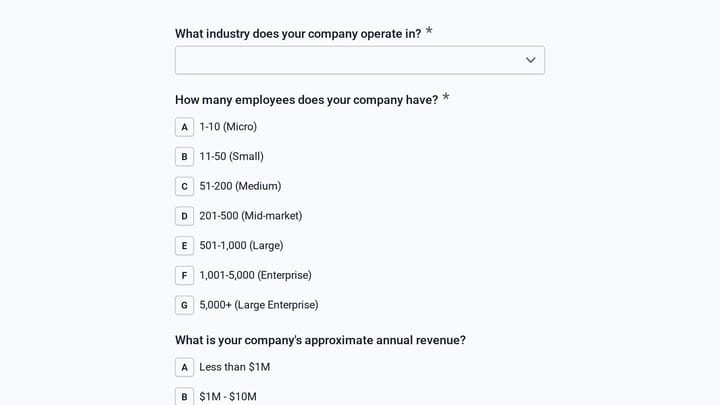B2B Software Buyer Persona Research preview