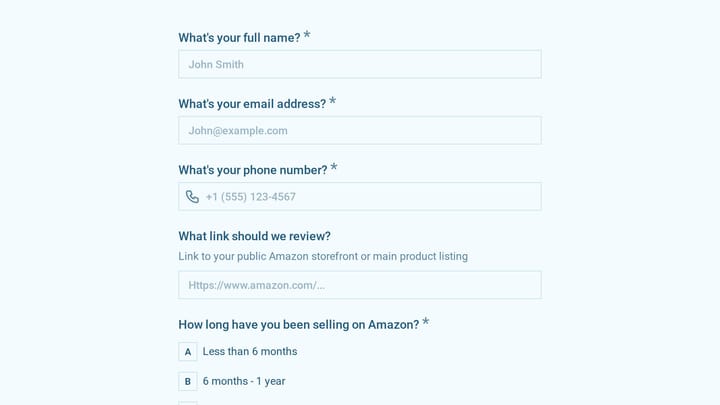 Amazon FBA Consulting Client Intake Form preview