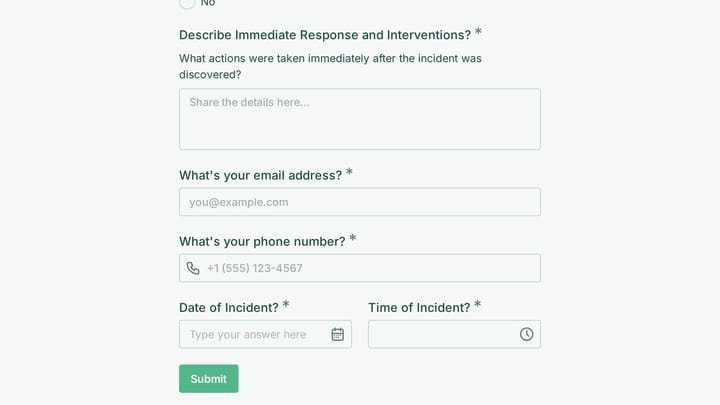 Patient Safety Incident Report preview