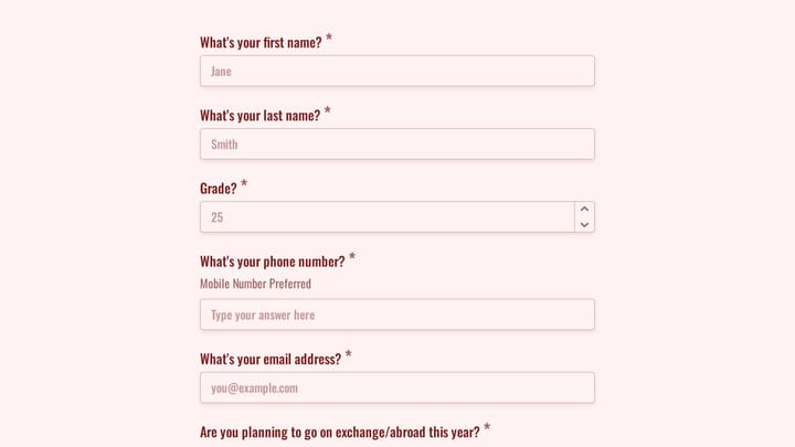 Audition Form preview