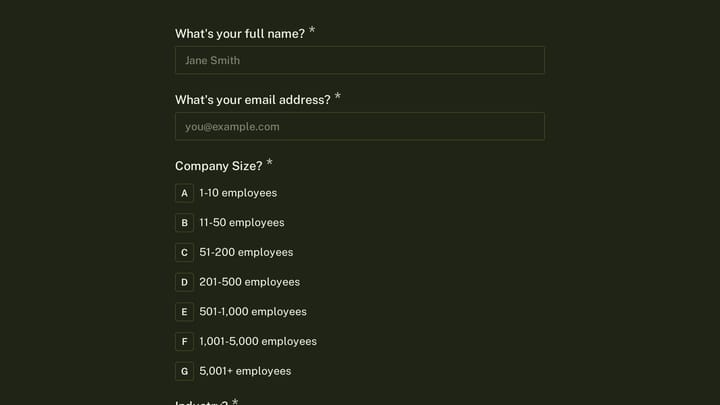 B2B Software User Persona Discovery preview
