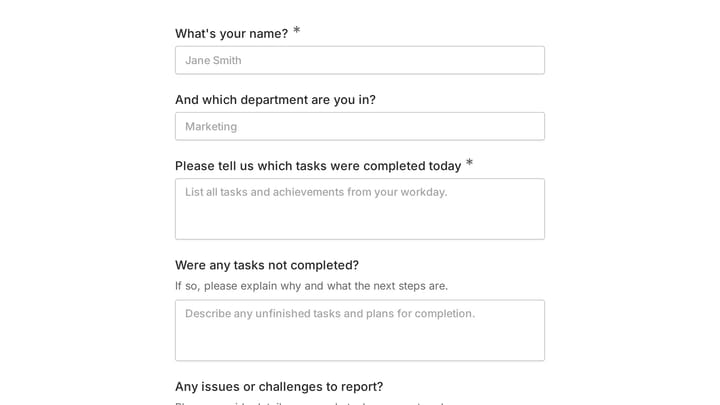 Daily report form preview