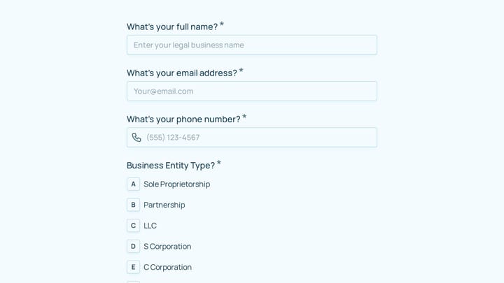 Accounting Client Discovery Form preview
