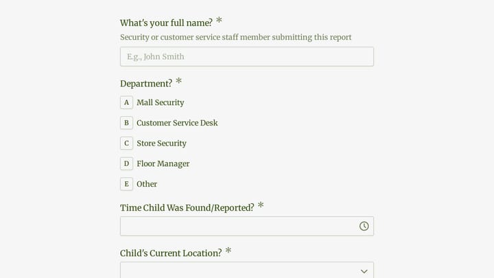 Lost Child Report preview