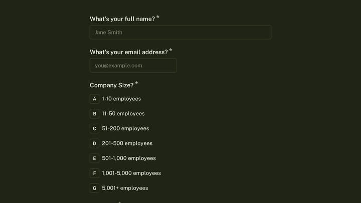 B2B Software User Persona Discovery preview