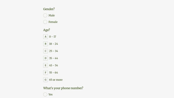 Phone Case Survey Form preview