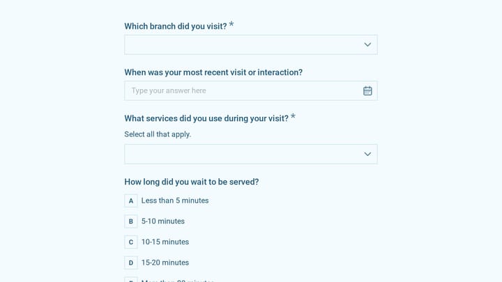 Bank Customer Experience Survey preview
