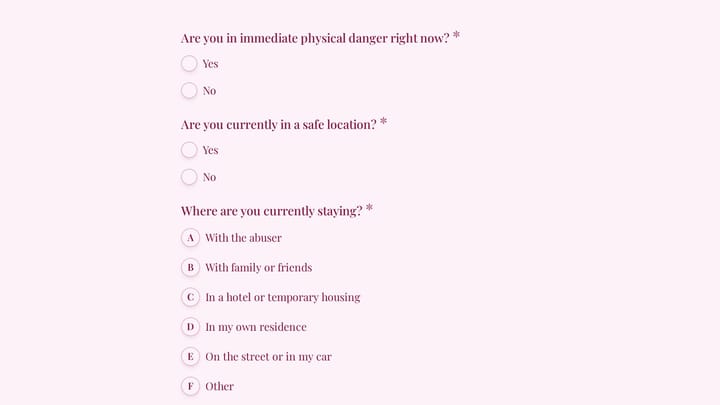Domestic Violence Shelter Intake & Crisis Form preview