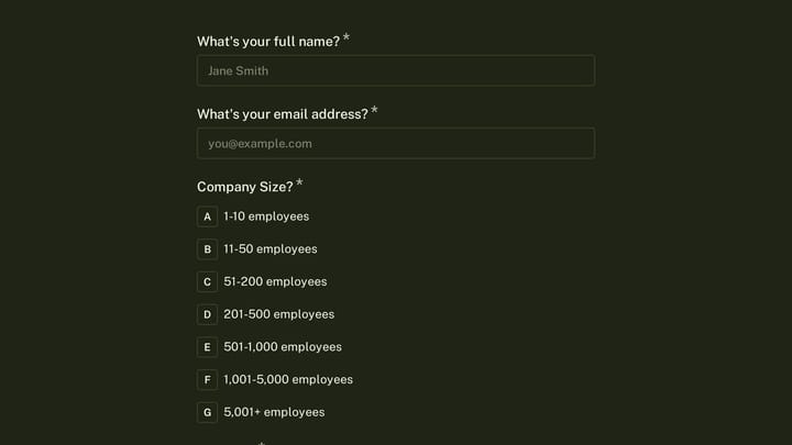 B2B Software User Persona Discovery preview