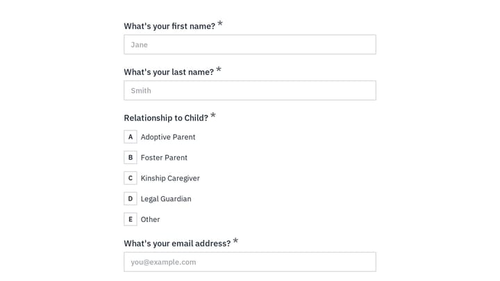 Adoption and Foster Care Therapy Intake Form preview
