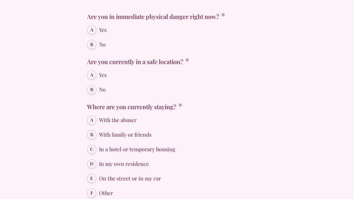 Domestic Violence Shelter Intake & Crisis Form preview