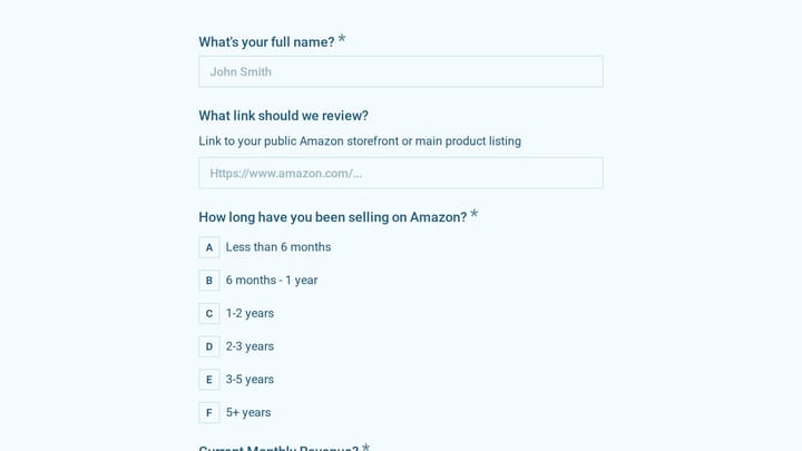 Amazon FBA Consulting Client Intake Form preview