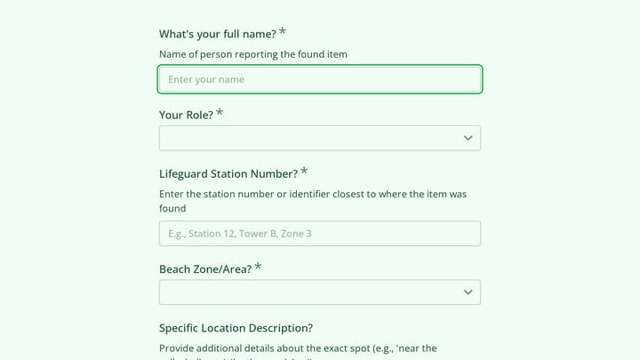 Beach & Waterfront Found Item Report preview