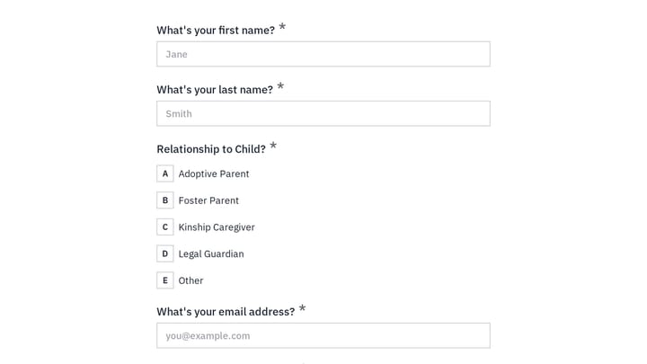 Adoption and Foster Care Therapy Intake Form preview