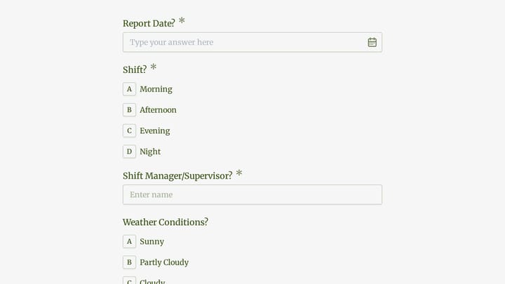 Car Wash Daily Operations Report preview