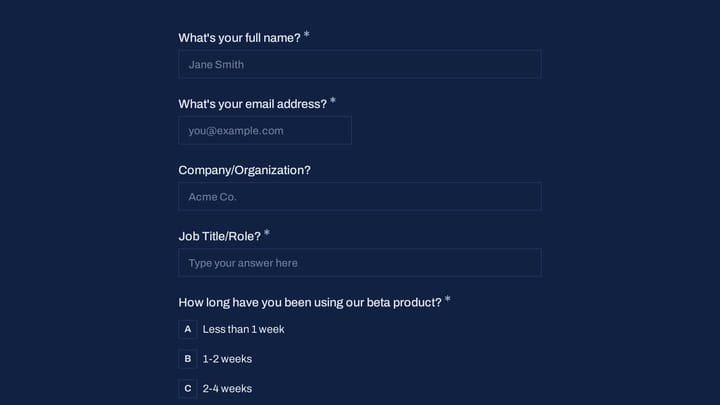 Beta User Journey Mapping Workshop preview