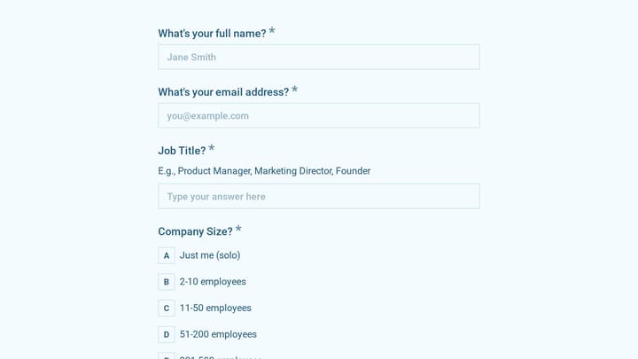 Beta Program User Persona Survey preview