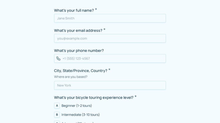 Brand Ambassador Application preview