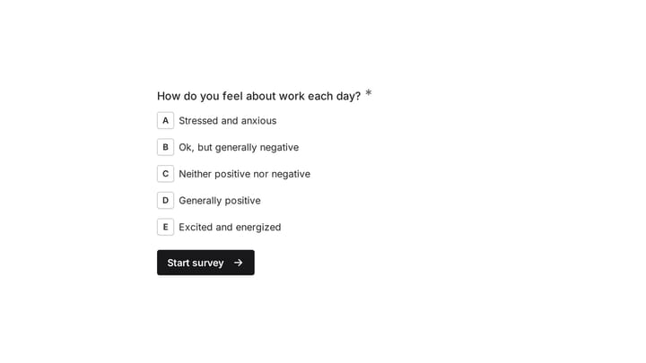 Employee Morale Survey preview