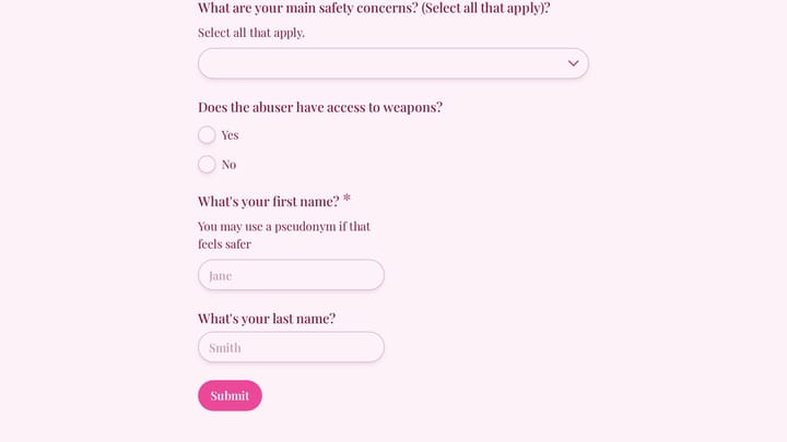 Domestic Violence Shelter Intake & Crisis Form preview