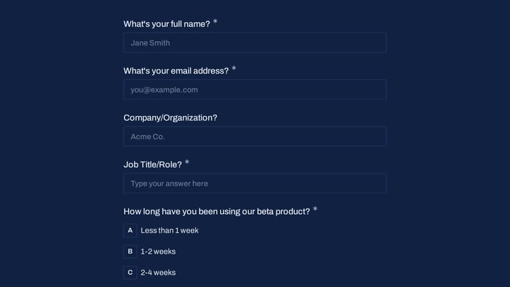Beta User Journey Mapping Workshop preview