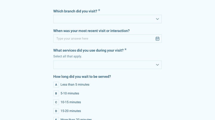 Bank Customer Experience Survey preview