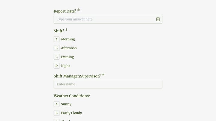 Car Wash Daily Operations Report preview