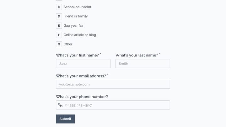 Gap Year Program Inquiry preview