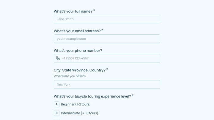 Brand Ambassador Application preview