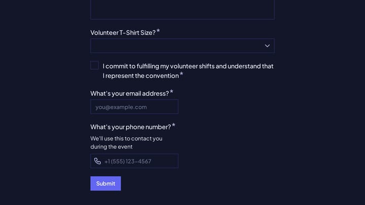 Anime Convention Volunteer Application preview