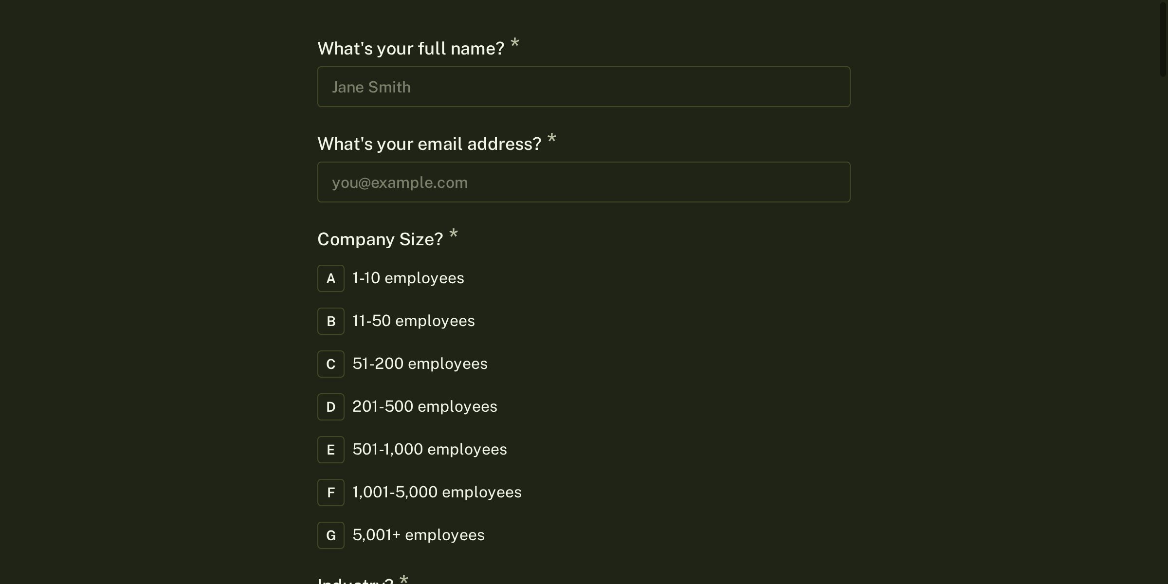 B2B Software User Persona Discovery Form