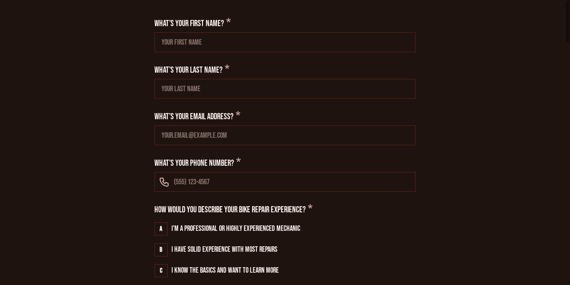 Volunteer Bike Mechanic Application Form